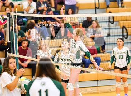 Thumbnail 3 in JV: Elizabeth @ Falcon photogallery.