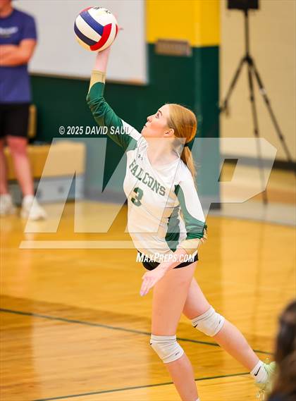 Thumbnail 1 in JV: Elizabeth @ Falcon photogallery.