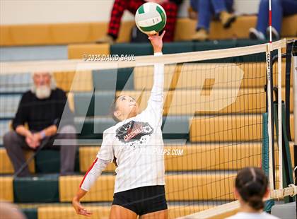 Thumbnail 2 in JV: Elizabeth @ Falcon photogallery.