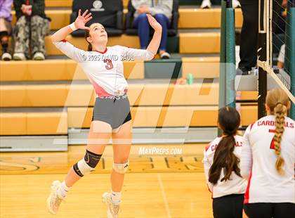 Thumbnail 3 in JV: Elizabeth @ Falcon photogallery.