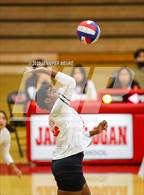 Photo from the gallery "Newark Memorial @ James Logan"