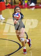 Photo from the gallery "Newark Memorial @ James Logan"