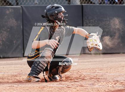 Thumbnail 2 in Coronado @ Marcos de Niza photogallery.