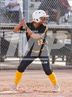 Photo from the gallery "Coronado @ Marcos de Niza"