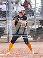 Photo from the gallery "Coronado @ Marcos de Niza"