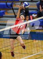 Photo from the gallery "James Logan @ Newark Memorial"