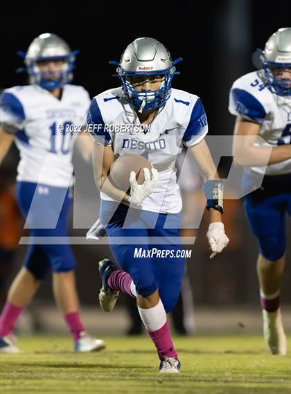 Thumbnail 1 in DeSoto County @ Lemon Bay photogallery.