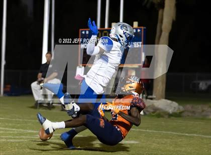 Thumbnail 1 in DeSoto County @ Lemon Bay photogallery.