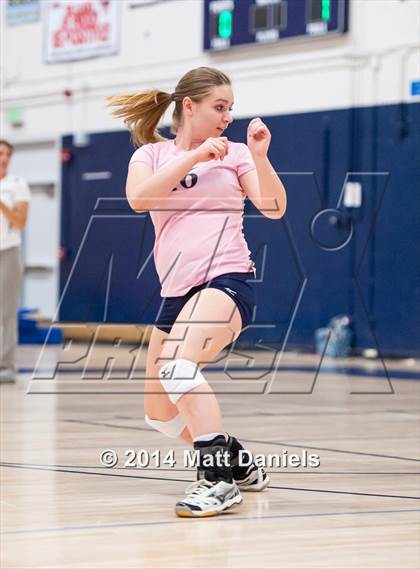 Thumbnail 3 in Bear Creek @ Columbine photogallery.