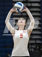 Photo from the gallery "Los Gatos @ Milpitas"