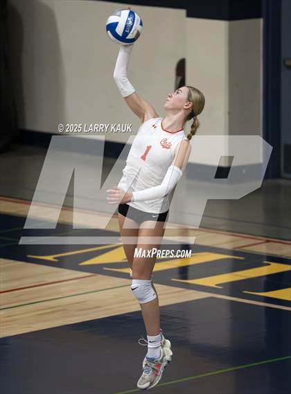 Thumbnail 2 in Los Gatos @ Milpitas photogallery.