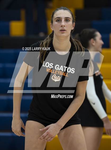 Thumbnail 1 in Los Gatos @ Milpitas photogallery.