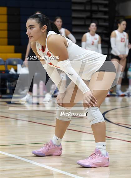 Thumbnail 1 in Los Gatos @ Milpitas photogallery.