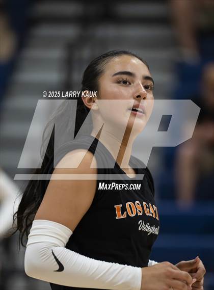 Thumbnail 2 in Los Gatos @ Milpitas photogallery.