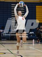 Photo from the gallery "Los Gatos @ Milpitas"