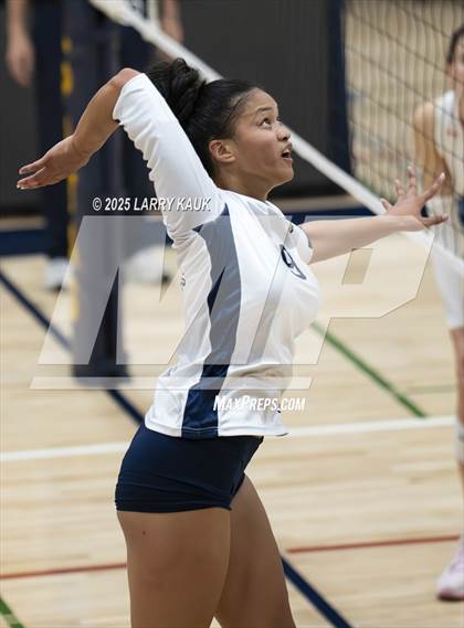 Thumbnail 2 in Los Gatos @ Milpitas photogallery.