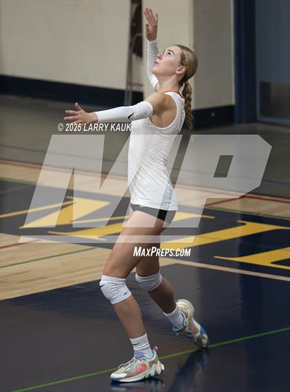 Thumbnail 1 in Los Gatos @ Milpitas photogallery.