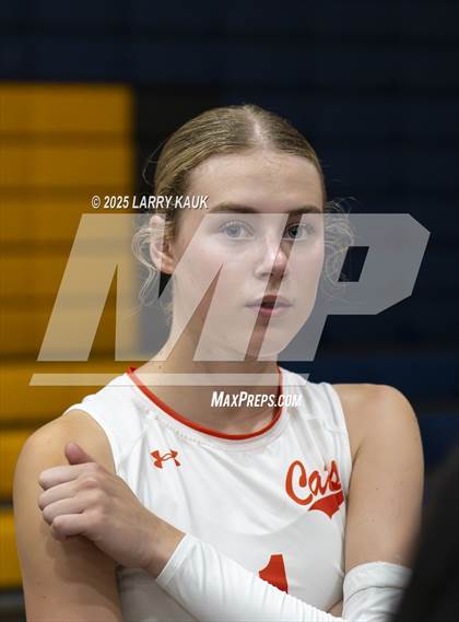 Thumbnail 2 in Los Gatos @ Milpitas photogallery.