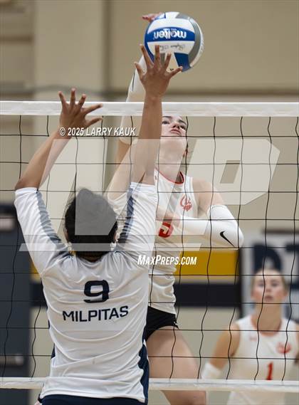 Thumbnail 1 in Los Gatos @ Milpitas photogallery.