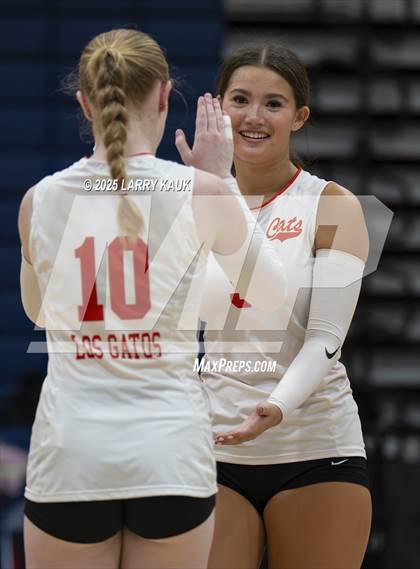 Thumbnail 2 in Los Gatos @ Milpitas photogallery.