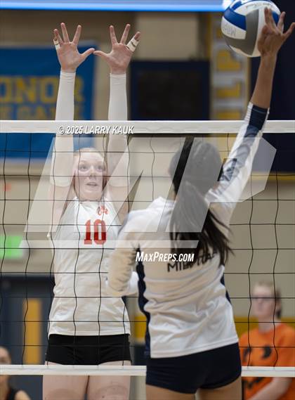 Thumbnail 1 in Los Gatos @ Milpitas photogallery.