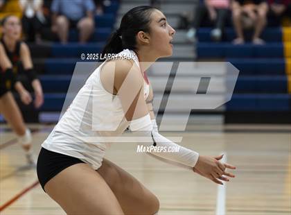 Thumbnail 1 in Los Gatos @ Milpitas photogallery.