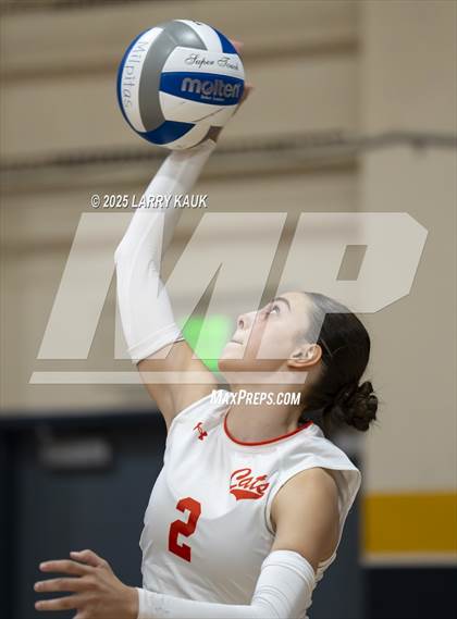 Thumbnail 1 in Los Gatos @ Milpitas photogallery.