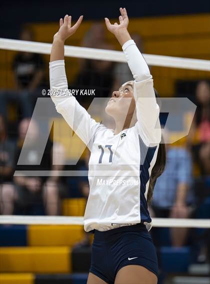 Thumbnail 1 in Los Gatos @ Milpitas photogallery.