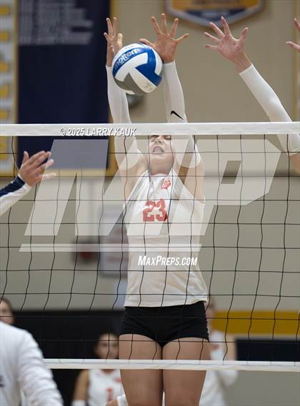 Thumbnail 1 in Los Gatos @ Milpitas photogallery.