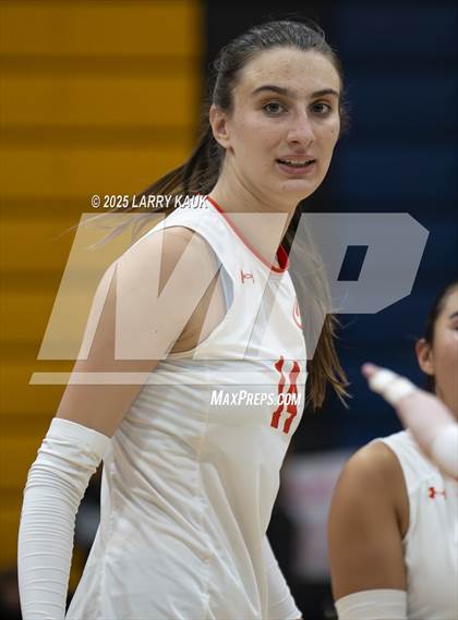 Thumbnail 2 in Los Gatos @ Milpitas photogallery.