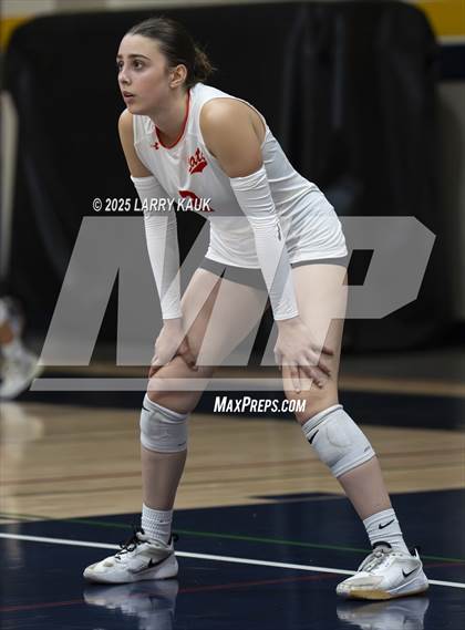 Thumbnail 2 in Los Gatos @ Milpitas photogallery.