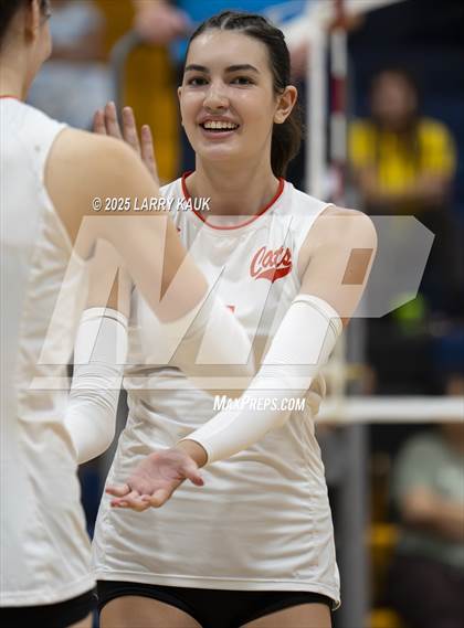 Thumbnail 3 in Los Gatos @ Milpitas photogallery.