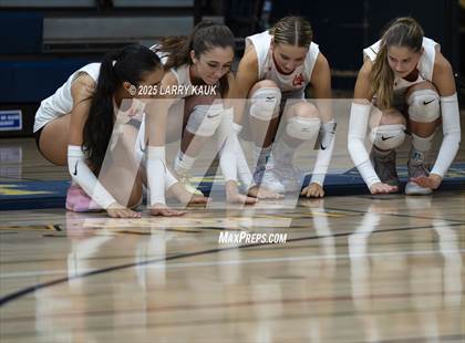 Thumbnail 1 in Los Gatos @ Milpitas photogallery.