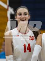 Photo from the gallery "Los Gatos @ Milpitas"