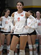 Photo from the gallery "Los Gatos @ Milpitas"