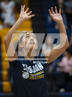 Photo from the gallery "Los Gatos @ Milpitas"