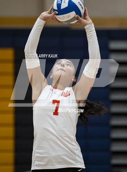 Thumbnail 2 in Los Gatos @ Milpitas photogallery.