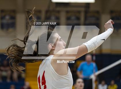 Thumbnail 1 in Los Gatos @ Milpitas photogallery.