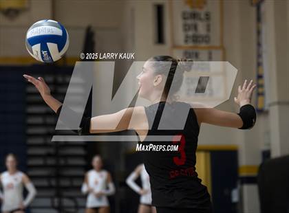 Thumbnail 2 in Los Gatos @ Milpitas photogallery.