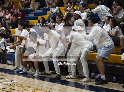 Thumbnail 2 in Los Gatos @ Milpitas photogallery.