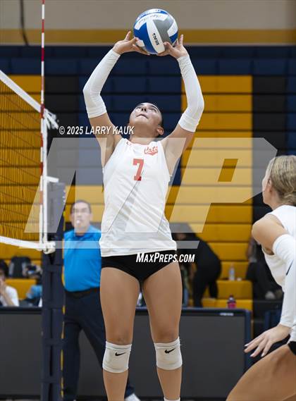 Thumbnail 1 in Los Gatos @ Milpitas photogallery.