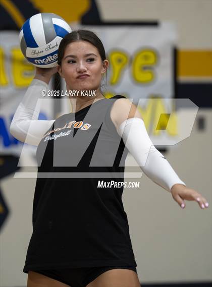 Thumbnail 1 in Los Gatos @ Milpitas photogallery.