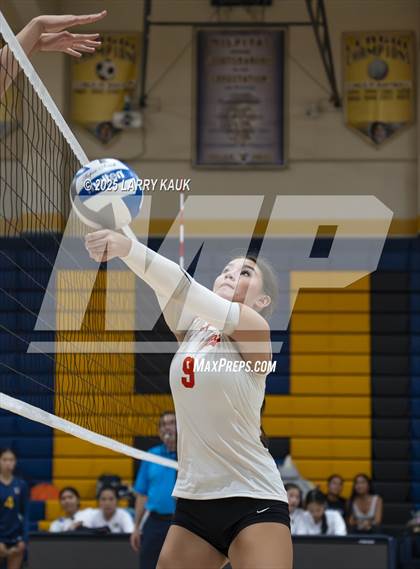 Thumbnail 1 in Los Gatos @ Milpitas photogallery.