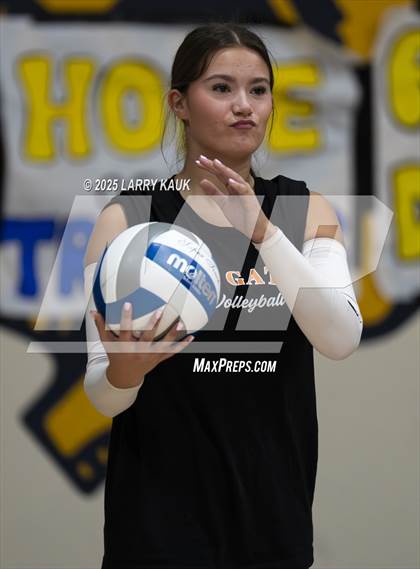 Thumbnail 3 in Los Gatos @ Milpitas photogallery.