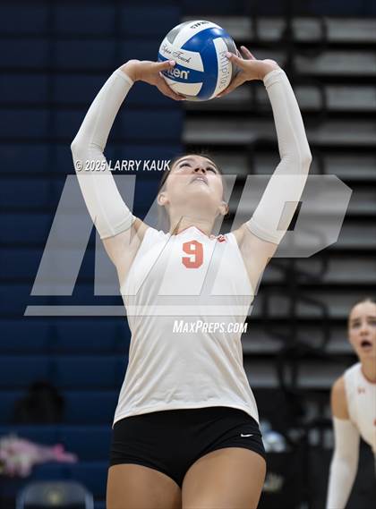 Thumbnail 2 in Los Gatos @ Milpitas photogallery.