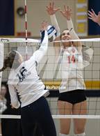 Photo from the gallery "Los Gatos @ Milpitas"