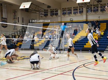 Thumbnail 3 in Los Gatos @ Milpitas photogallery.