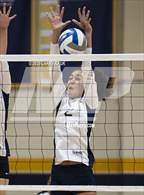 Photo from the gallery "Los Gatos @ Milpitas"