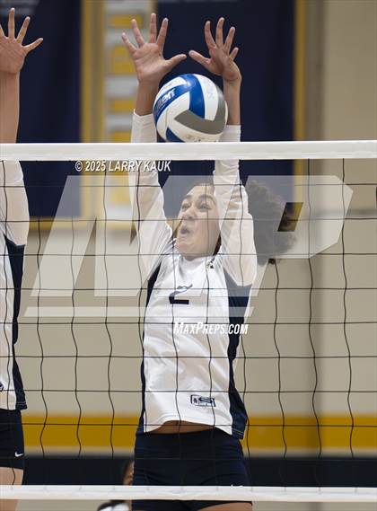 Thumbnail 1 in Los Gatos @ Milpitas photogallery.