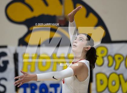 Thumbnail 2 in Los Gatos @ Milpitas photogallery.